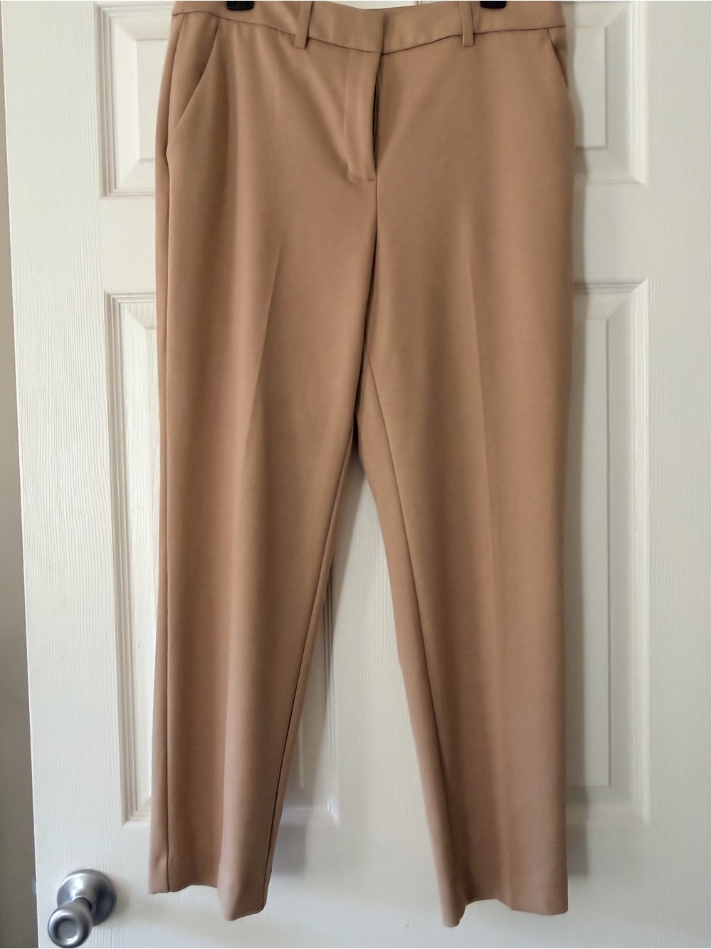 Simply Vera Vera Wang Tailored Trousers in Camel